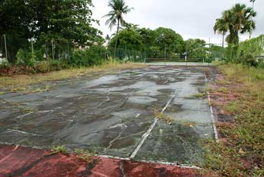 Overgrown court